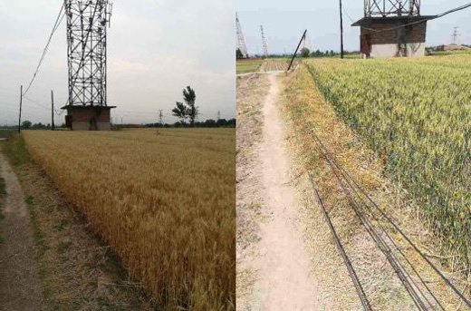 歪斜電桿、垂落線纜處置前后